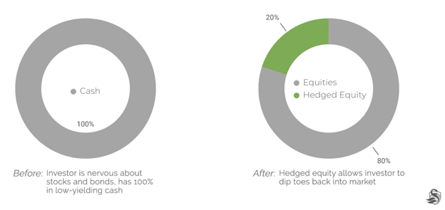 cash vs hedged equity