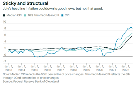 Sticky and Structural Inflation - Swan Insights